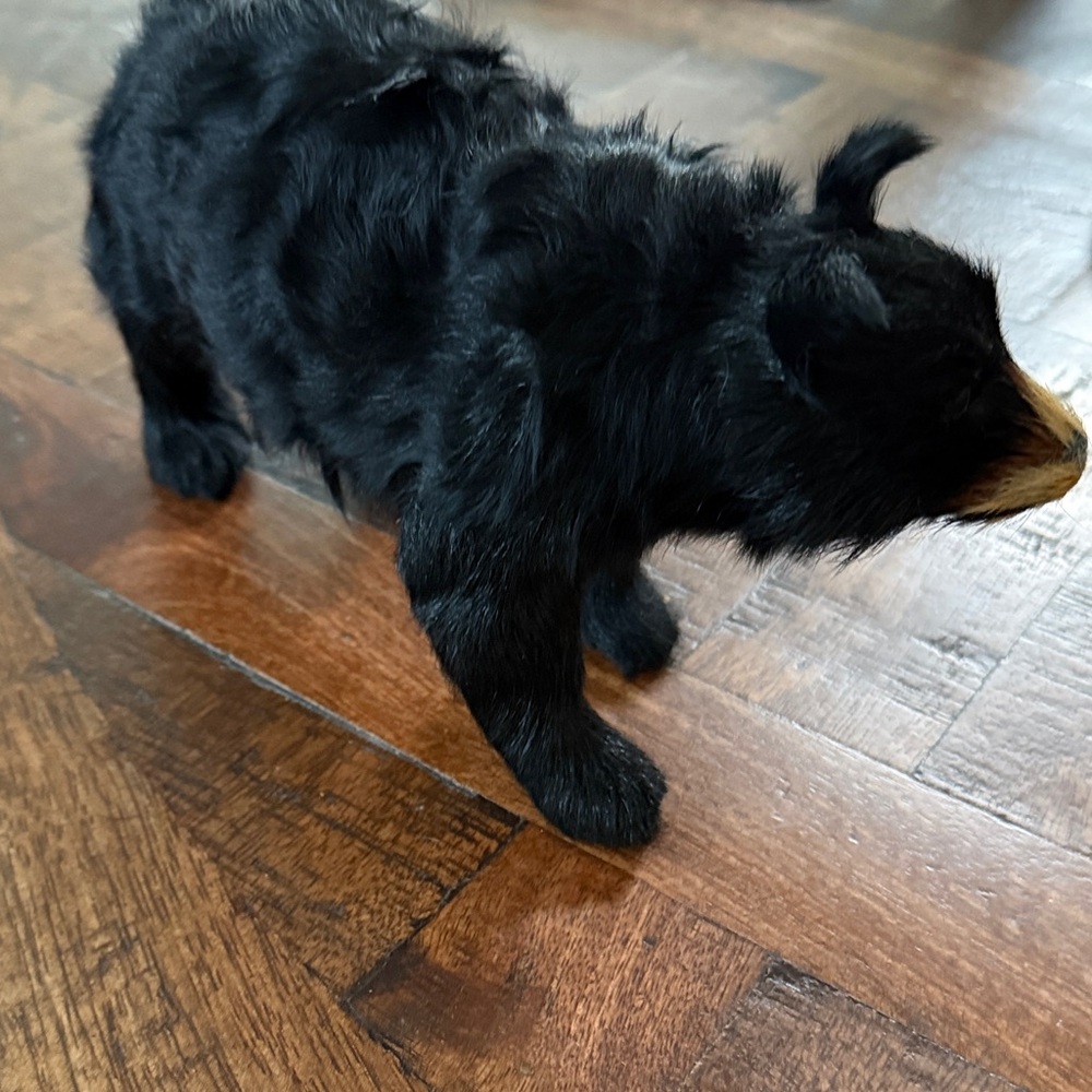 Vintage black bear real fur - Picture 5 of 7